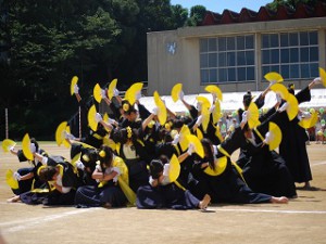 黄色01